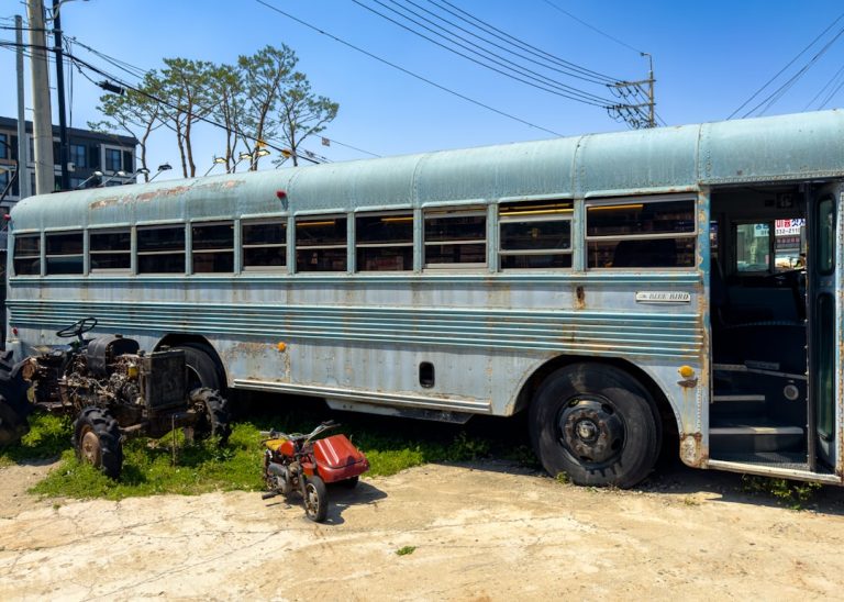 Unlocking the World: The Transformative Power of Educational Travel for Kids